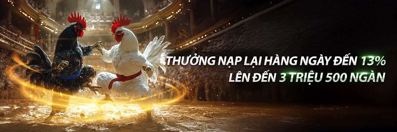 Sân vận động đầy ắp khán giả với các biểu tượng cá cược thể thao
